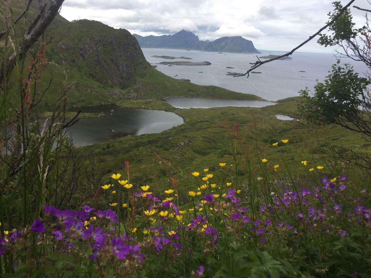 Отель Nyksundrom, Nyksund Экстерьер фото